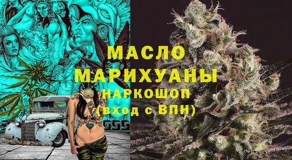 индика Зерноград