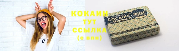 индика Зерноград