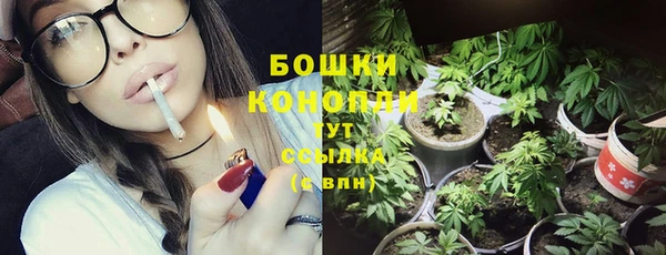 PSILOCYBIN Зеленокумск