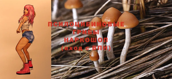 индика Зерноград